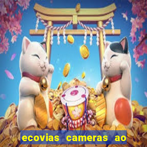 ecovias cameras ao vivo santos